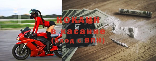 гидра Болохово