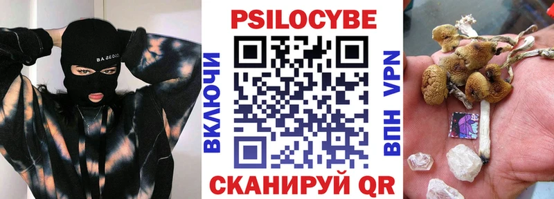ОМГ ОМГ ССЫЛКА Почеп Псилоцибиновые грибы Magic Shrooms даркнет официальный сайт где найти наркотики